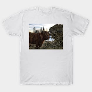 Scottish Highland Cattle Cow 2321 T-Shirt